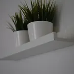 Casa Delfina *